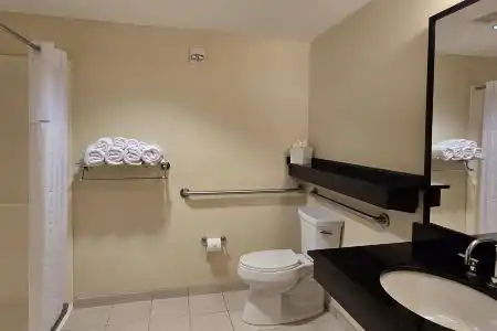 Ramada Plaza Resort & Suites By Wyndham Orlando International Drive - 70