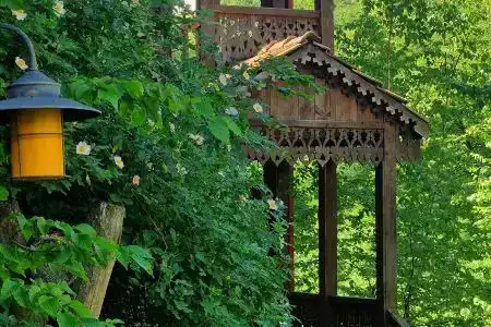 Dilijan Nature - 7