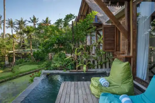 Menzel Ubud - 270