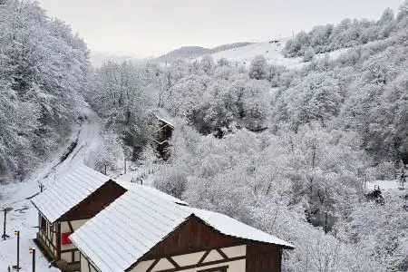 Dilijan Nature - 30