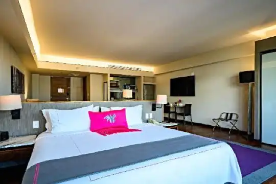 Las Suites Campos Eliseos - 20