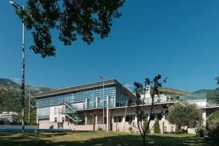 Pedja Zec - 1
