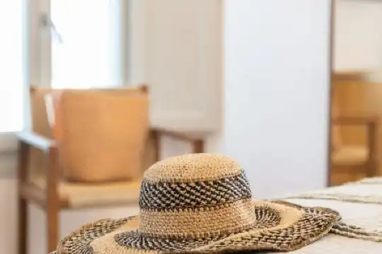 Elena Mykonos - 49