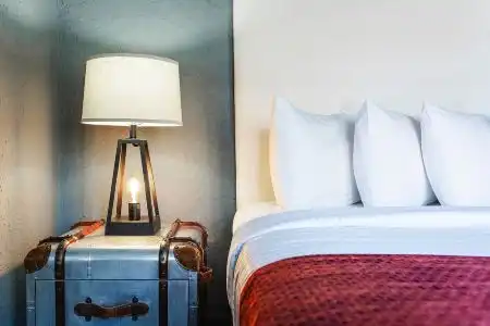 Hollander - Downtown St. Petersburg - 11