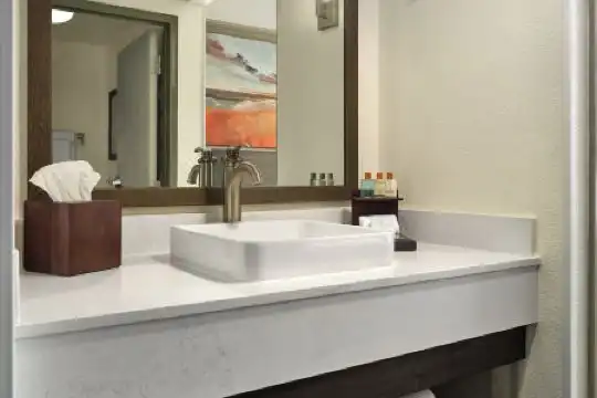 Buena Vista Suites Orlando - 20