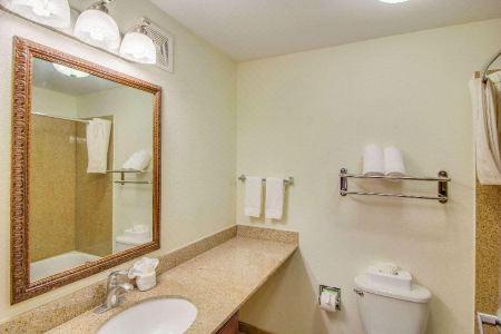 MainStay Suites Texas Medical Center/Reliant Park - 43
