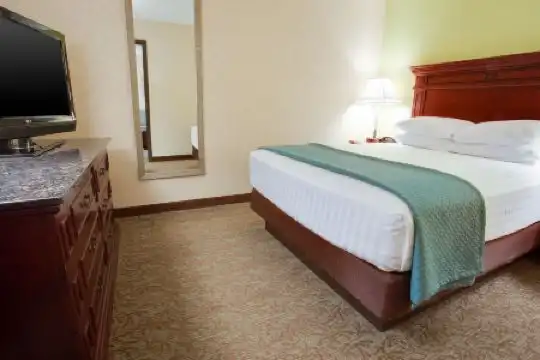 Pear Tree Inn St Louis Convention Center - 15