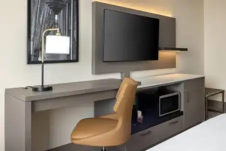Ramada Plaza Resort & Suites By Wyndham Orlando International Drive - 90