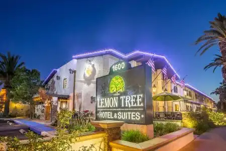 The Lemon Tree - 8