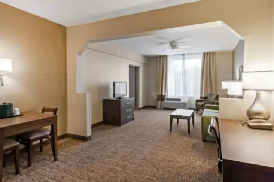 Comfort Suites Maingate East - 66