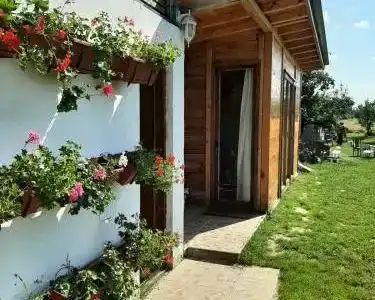 Morava Garden - 0