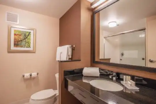 Fairfield Inn and Suites Chicago Downtown-River North - 32