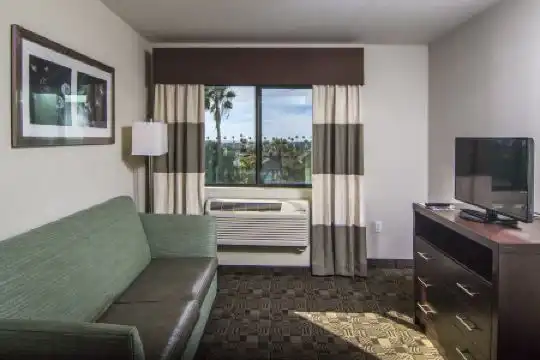 Holiday Inn Express & Suites Carlsbad Beach, An Ihg - 45