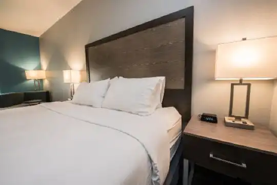 Holiday Inn Express & Suites Houston - Hobby Airport Area, An Ihg - 32