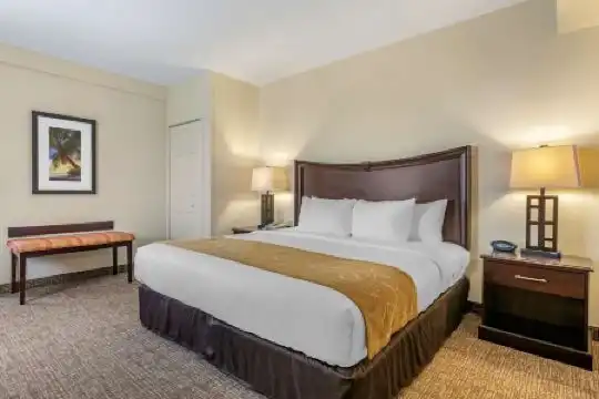 Comfort Suites Maingate East - 63
