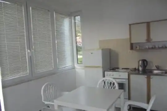 Apartmani Tomovic - 28