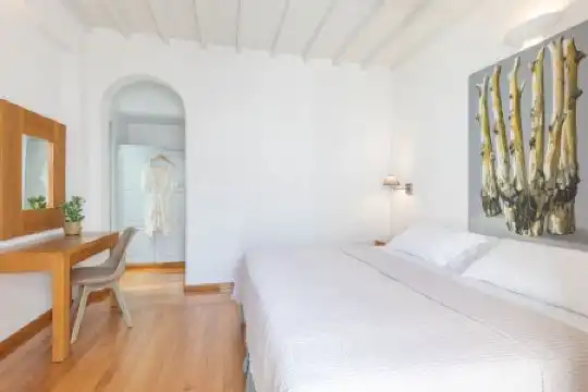 Elena Mykonos - 30