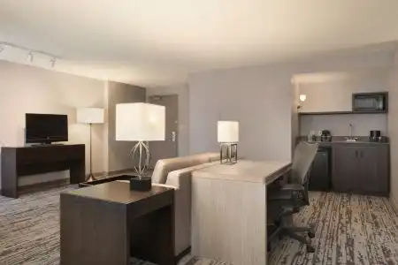 Embassy Suites Atlanta at Centennial Olympic Park - 27