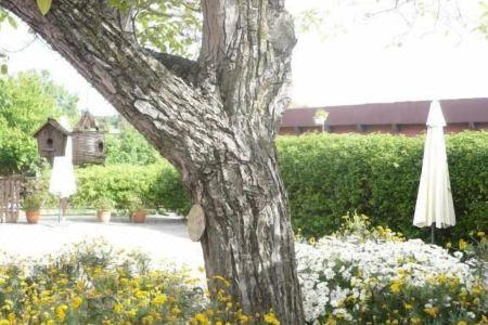 Il Baffetto b&b - 5