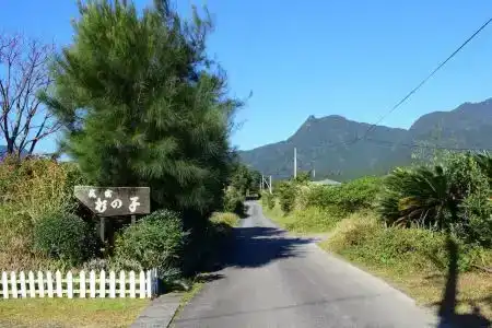 屋久島 民宿すぎのこ - 4