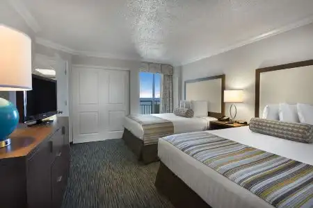 Coral Beach - 10