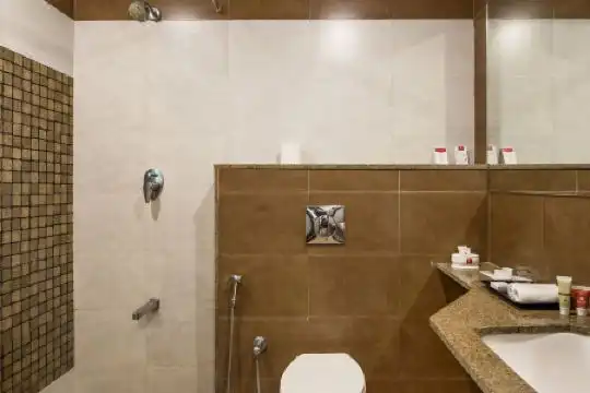 Octave Jagadish Jayanagar Suites - 11