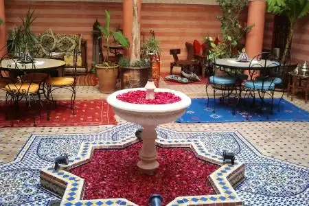 Riad bleu du Sud - 8