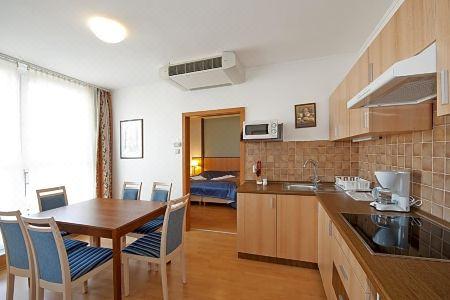 Premium Apartment House - 9