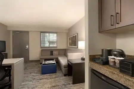 Embassy Suites Atlanta at Centennial Olympic Park - 12