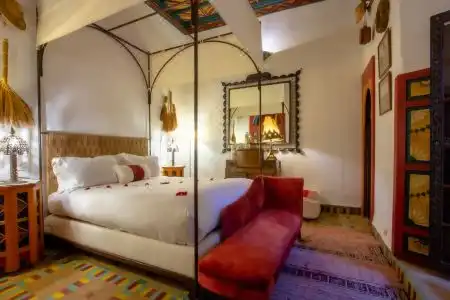 Riad Kaiss By Anika - 4