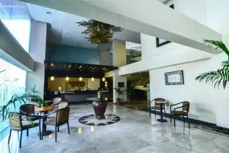 Losari Roxy - 10