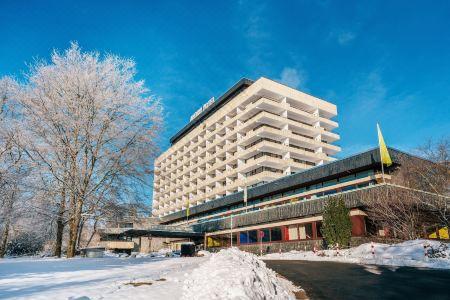 Ahorn Harz Braunlage - 9