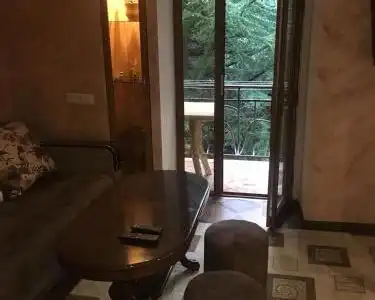Dilijan Apartment #1 - 28