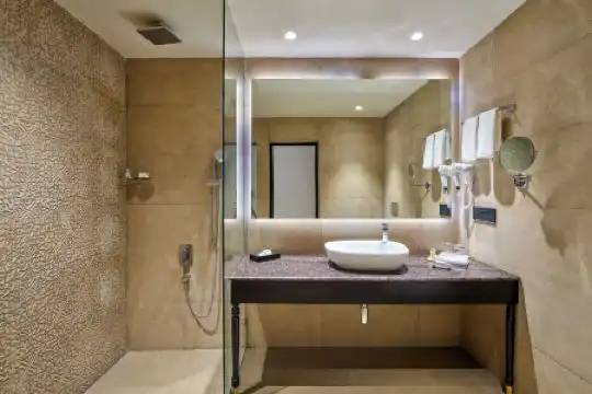 Pride Amber Vilas Resort & Spa Jaipur - 15