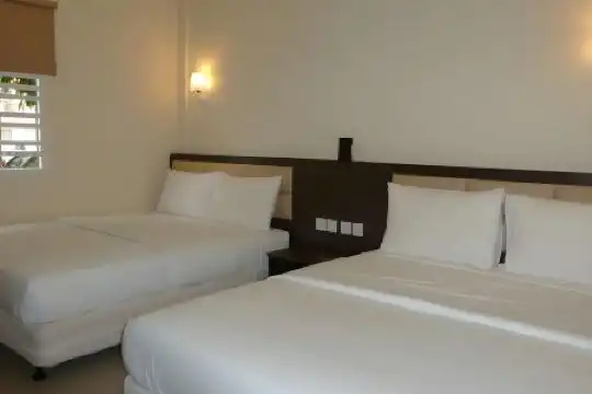 Hong - 11