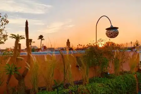 Riad 11 Zitoune - 5