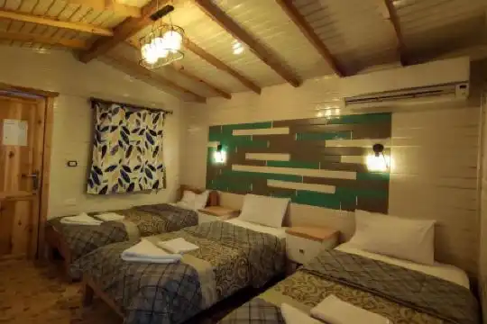 My Hostel in Dahab - Dive center - 9