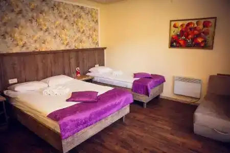 Grig House Eco Resort - 6