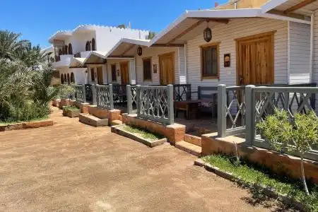 My Hostel in Dahab - Dive center - 3