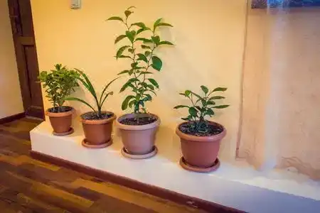Amoj b&b And Guest House - 10