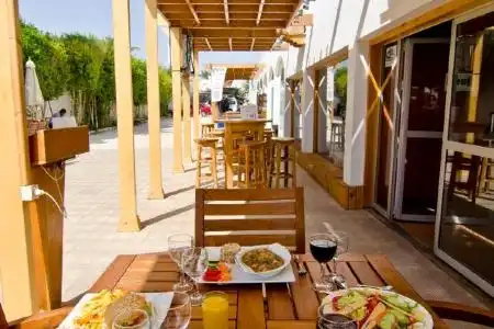 Sunshine Divers Club - Il Porto - 6