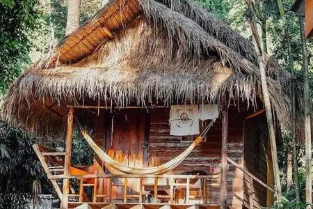 Little Eden Bungalows - 14