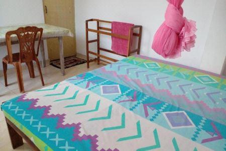 Chanro Surf Dream - 7