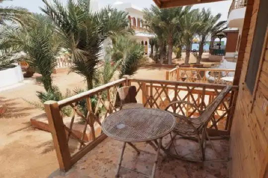 My Hostel in Dahab - Dive center - 15