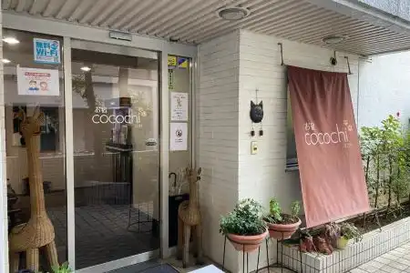 Oyado Cocochi - 8