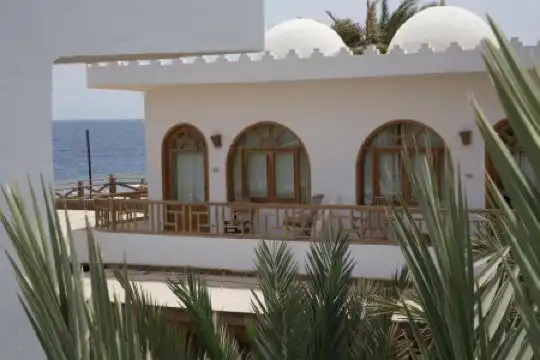 My Hostel in Dahab - Dive center - 7
