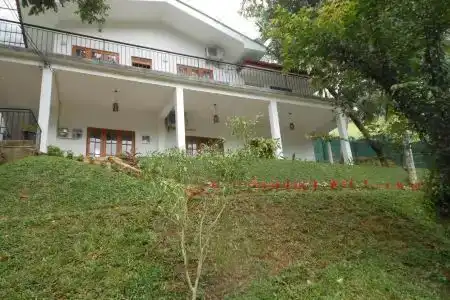 Lavender Hills - 3