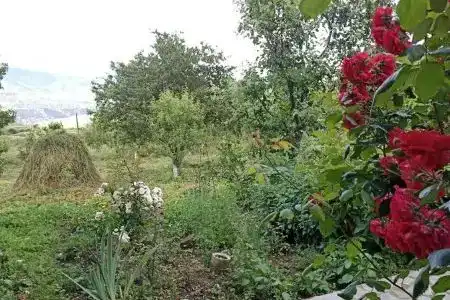 Amoj b&b And Guest House - 9