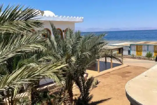 My Hostel in Dahab - Dive center - 31