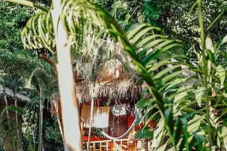 Little Eden Bungalows - 15